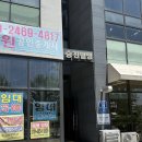 더금손언니