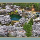 만개된 거창 덕천서원의 벚꽃을 드론으로 이미지