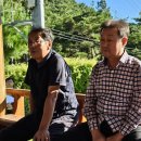 기우 태양광발전소 이미지