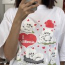 캣리포니아 이미지