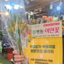 이안도매