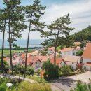 금산목장 이미지