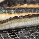 효근농장 이미지