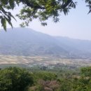나무향기펜션&커피