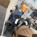 메가플러스(주) | 강아지 유모차 추천 낫쏘빅 도로시 플러스 2025 대전 메가주 구매후기