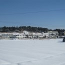 비금면사무소 이미지