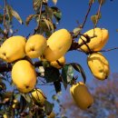 춘천종합사회복지관 이미지