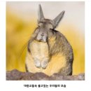 민댕 네이버블로그