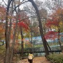 조방 빛축제거리 1 - 조방낙지 옆 | 28000보를 걷는 내내 행복했던 11월의 어느 날 🍁