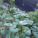 팔봉농원 이미지