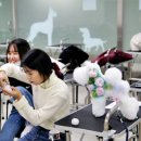 애견패션제작 이미지