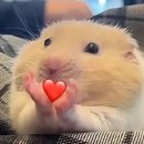 구덕로 66 앞 | 6월 한정 번외편:지호의 생일