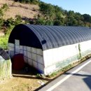 죽청농장 이미지