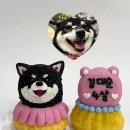 댕글로리 이미지