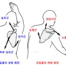 가로세로한의원 이미지