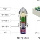 '630조' SMR 시장 선도…민관 SMR 얼라이언스 출범 이미지