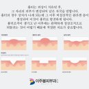 수원남문이의원 이미지