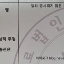리더스영상의학과의원 이미지