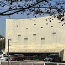 다운애견 | 파주 ‘다운데어’ 헤이리마을 카페 디저트맛집 추천 / 주차 애견동반 솔직후기