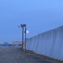 흥천체육공원 운동장 | 용산구 러닝코스 추천 : 노들섬, 보라매공원, 손기정체육공원, 효창운동장/가민포러너55 후기