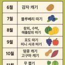 대신농장 | 경기 시흥] 온동물농장 재방문 후기! 겨울 동물 친구들 근황