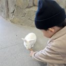 돈아쿠아 | [내돈내산]김포 풍무동 쥬쿠아 실내동물원 주말방문후기