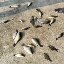 2박3일낚시터 이미지