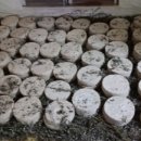 오곡마을(오곡발효마을) 이미지