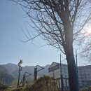 세계평화통일가정연합 | 가평 아기랑 1박2일 다녀온 후기 (feat. 켄싱턴 쏘쏘, 베고니아 새정원 강추 근데 통일교 궁전이..)