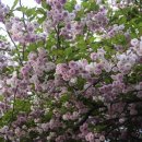 늘푸른전당 공연장 이미지