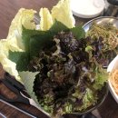 돼지박사 이미지