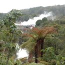 뉴질랜드/와이오타푸 Wai-O-Tapu 지열지대 이미지