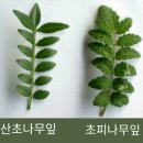 누리맘푸드