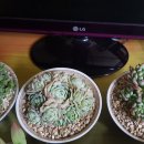 오늘의 아이 이미지