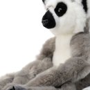 애완동물원 이미지