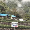 깜장타이어 | 삼척 향초목원 리틀포레스트 미니 찐 후기 공개합니다!(감성숙소에는 고통이 따른다는 사실...)