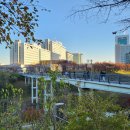 아산병원 | 아산병원 시보검사 후기(수소호기검사 비용, 절차)