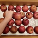 거창-고제-5 이미지