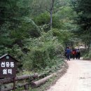 횡성자연휴양림 Daum카페