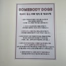 썸바디 독스 이미지