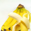 파파스라이어 이미지