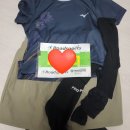 레이스 | [서울 마라톤 대회]챌린지 레이스 출전 후기