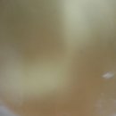 권가네김밥 이미지