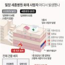 밀양 세종병원 화재사고 팩트체크 이미지