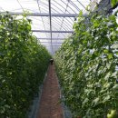 오포리농장 이미지