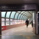 엘리아어린이집 이미지