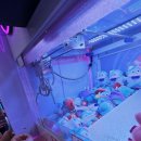 THE뽑기샵 이미지