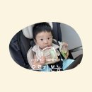 결성정육점 | 9개월 277일 - 283일차 기록(오르기 본능)