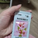 다이소 봉숭아 손톱에 물들이기 3일차까지 후기