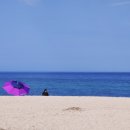 연곡해변 솔향기캠핑장 이미지